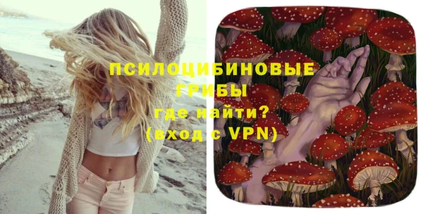 кокс Баксан