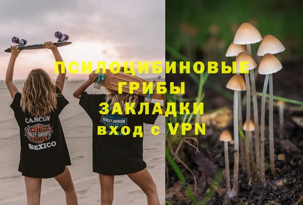прущий лед Армянск