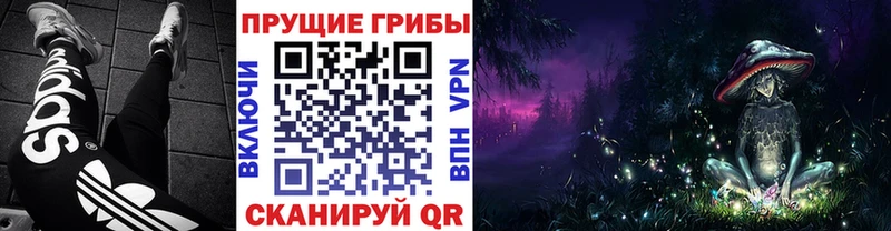 Галлюциногенные грибы Magic Shrooms  Новый Уренгой 